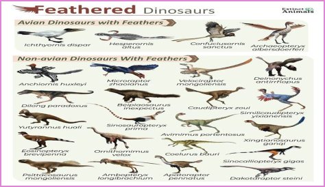 Are dinosaur species capitalized?