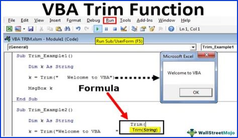 What does TRIM function do in VBA?