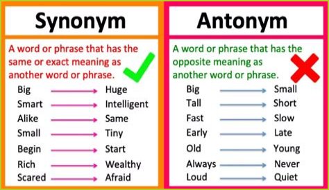 What is the synonym and antonym of suspect?